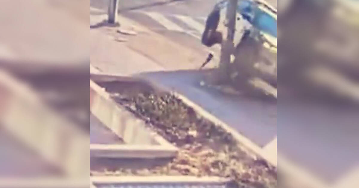 Wild videos of Toronto police car crash have people asking questions