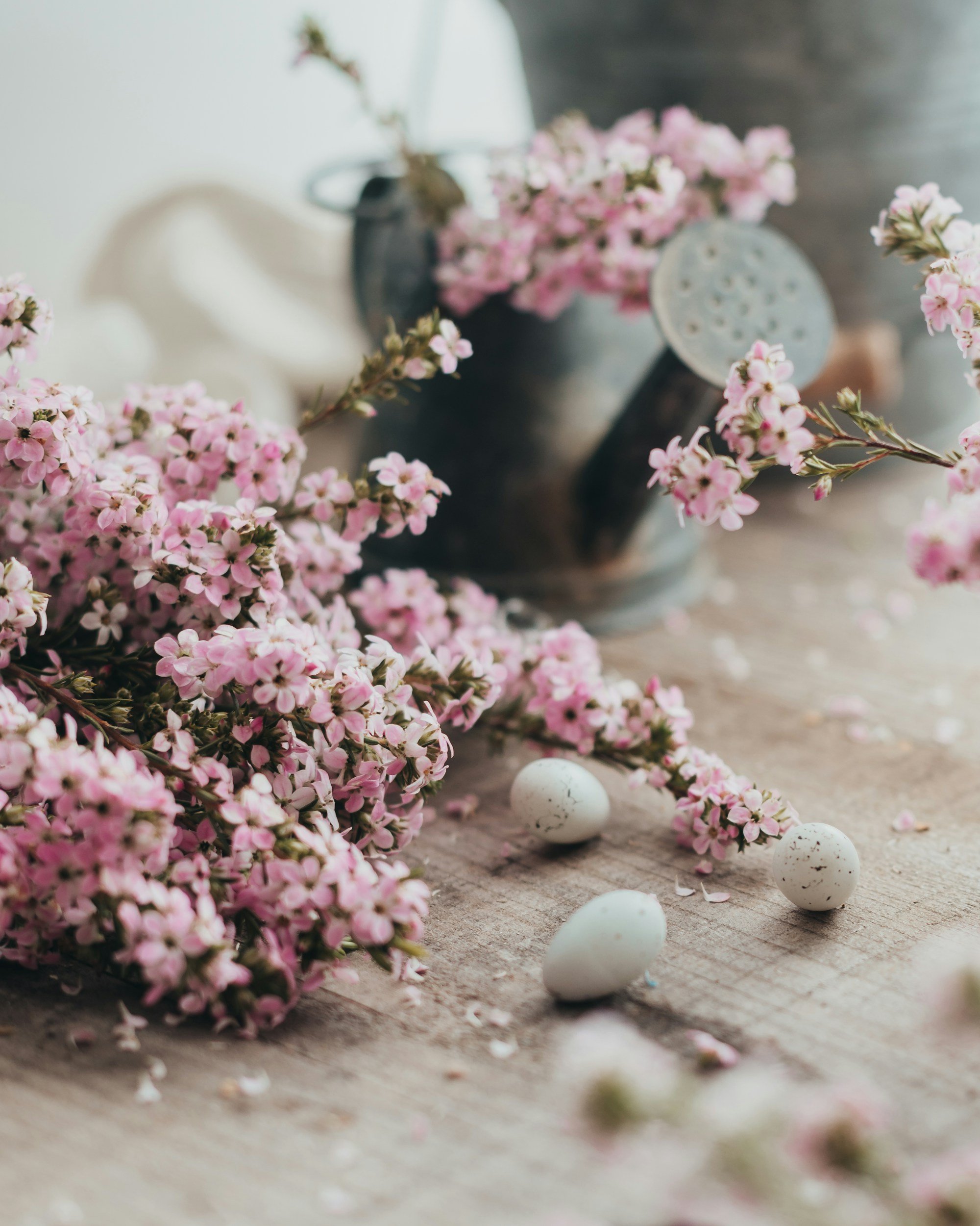 Prayer for Transformation at Easter — Congregation of Sisters of St Joseph in Canada, Theater News Prayer for Transformation at Easter — Congregation of Sisters of St Joseph in Canada, Theater News